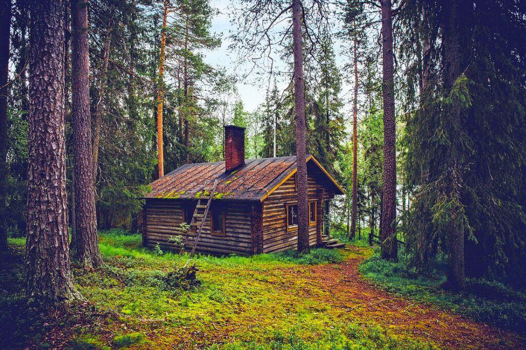 log home in forest