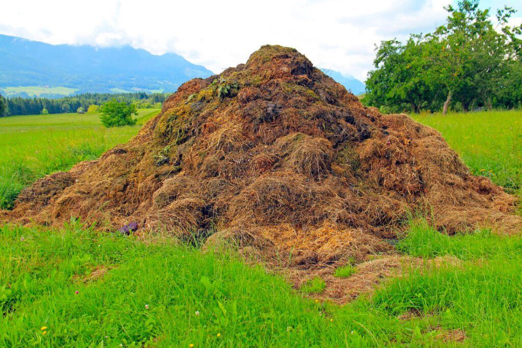 giant compost pile